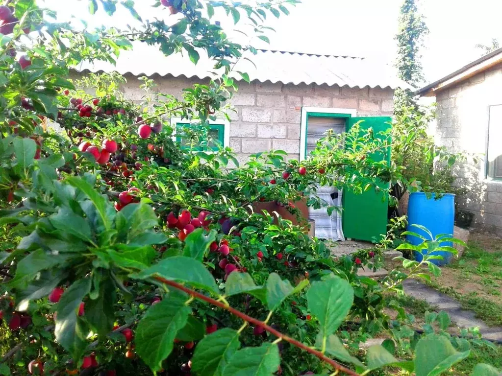 Дом в Волгоградская область, Ленинский район, с. Заплавное Самарский ... - Фото 1