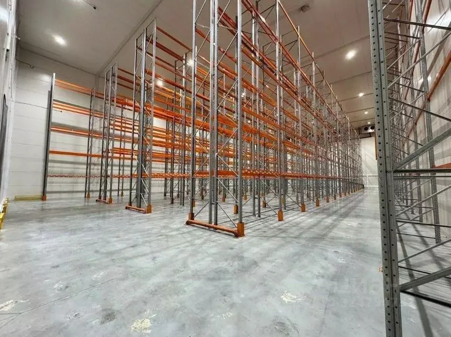 Склад в Санкт-Петербург пос. Парголово, Горское ш., 6соор1 (1159 м) - Фото 1