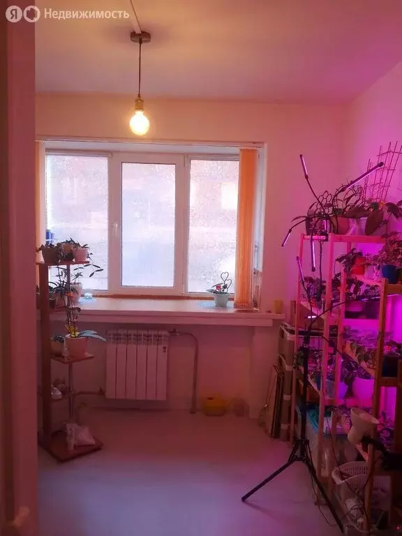 1к в -комнатной квартире ( м) - Фото 1