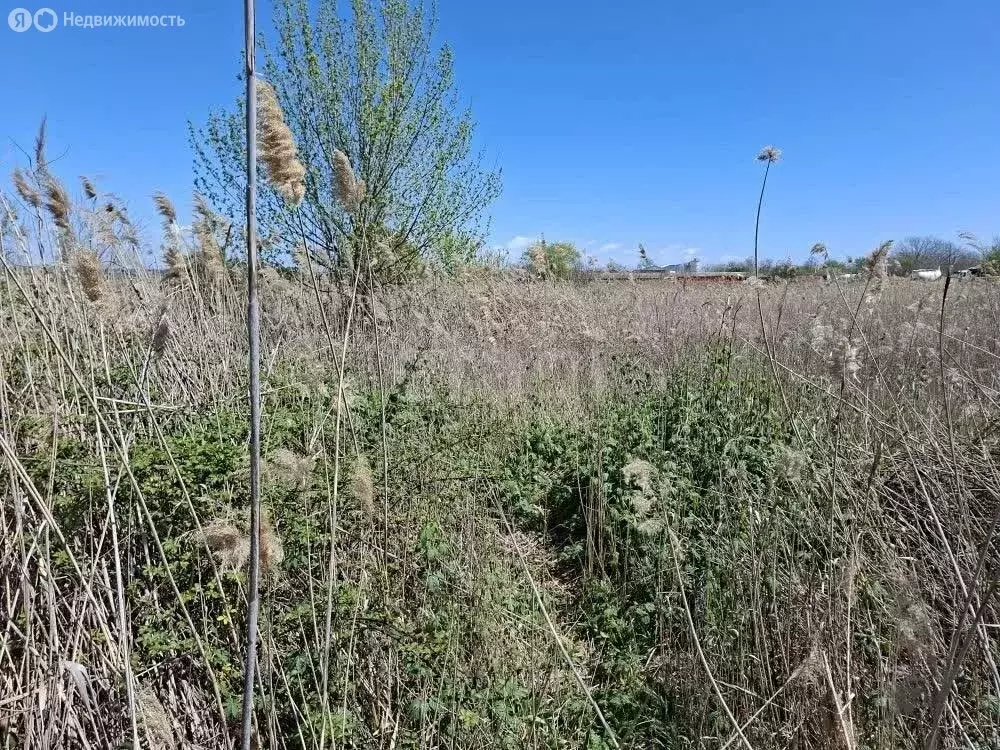 Участок в Феодосия, Казацкий переулок (9.53 м) - Фото 2