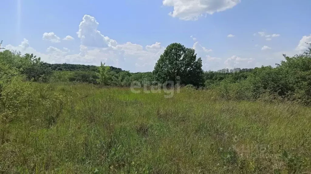Участок в Белгородская область, Белгородский район, Беломестненское ... - Фото 2