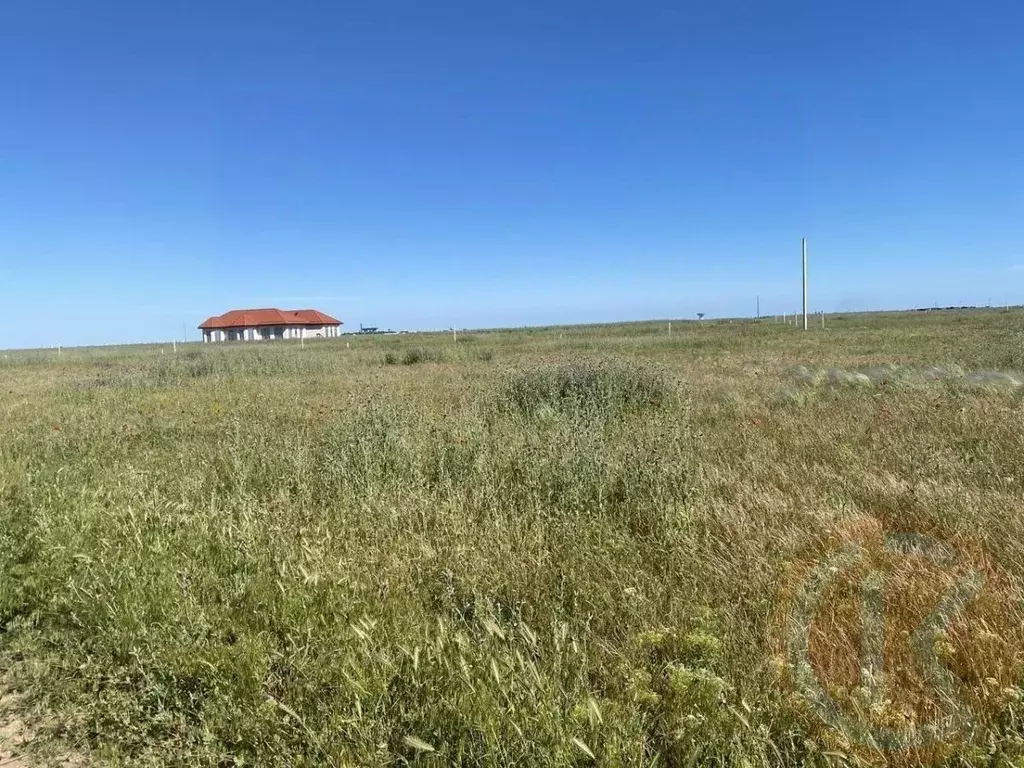 Участок в Крым, Сакский район, с. Молочное  (100.0 сот.) - Фото 1