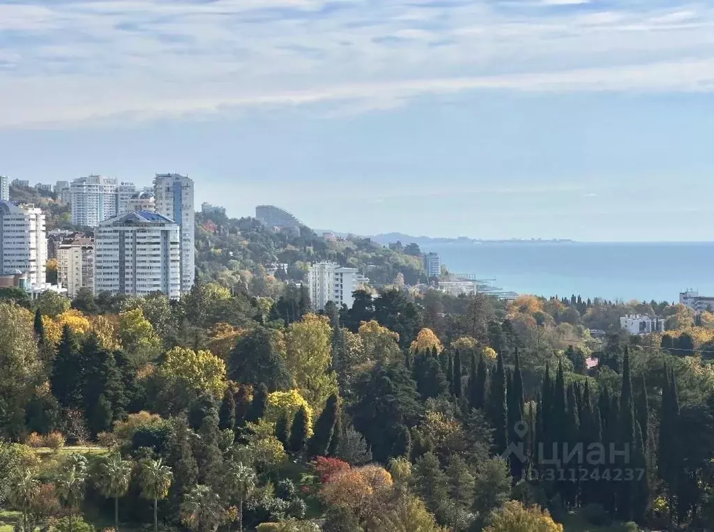 Свободной планировки кв. Краснодарский край, Сочи Светлана мкр, ул. ... - Фото 0