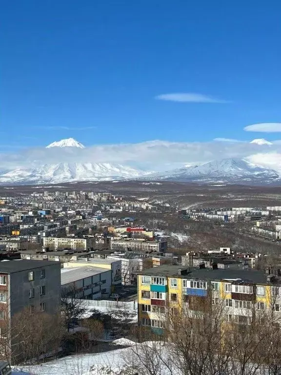 1-к кв. Камчатский край, Петропавловск-Камчатский ул. Автомобилистов, ... - Фото 0