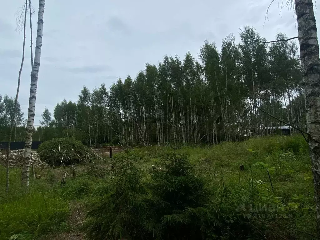 Участок в Московская область, Солнечногорск городской округ, д. ... - Фото 0