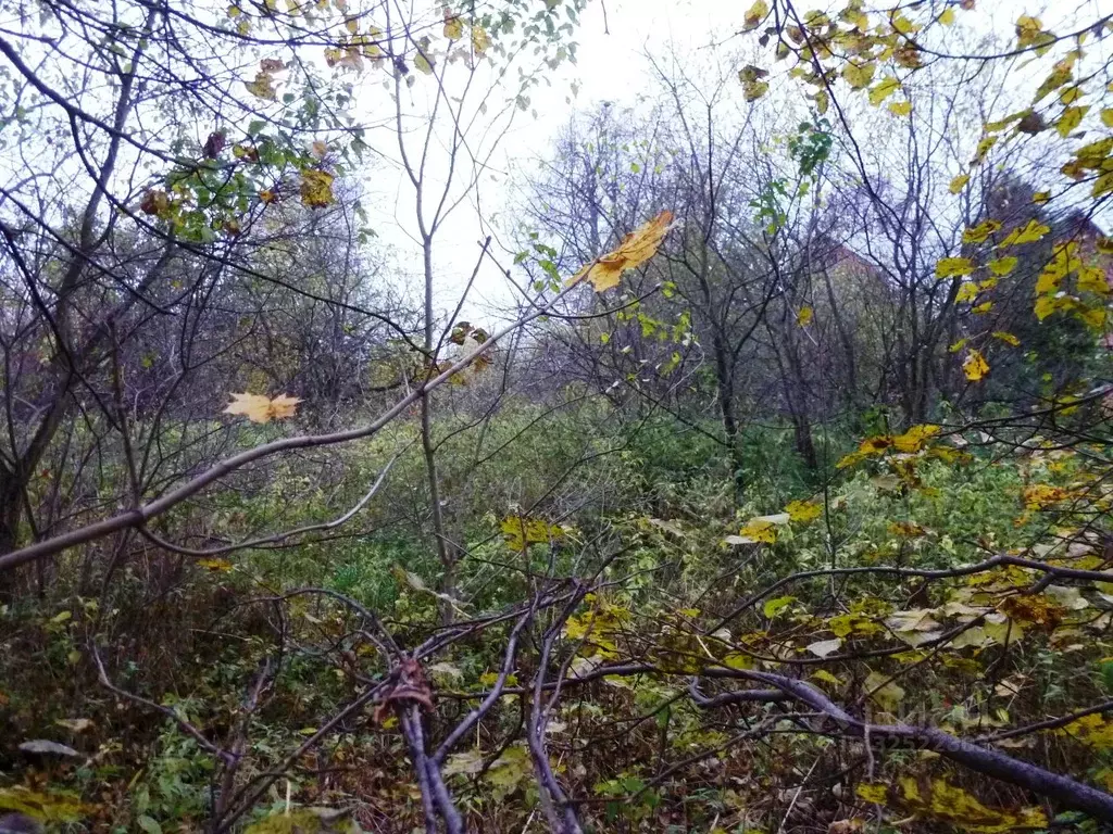 Участок в Московская область, Подольск городской округ, д. Потапово  ... - Фото 1