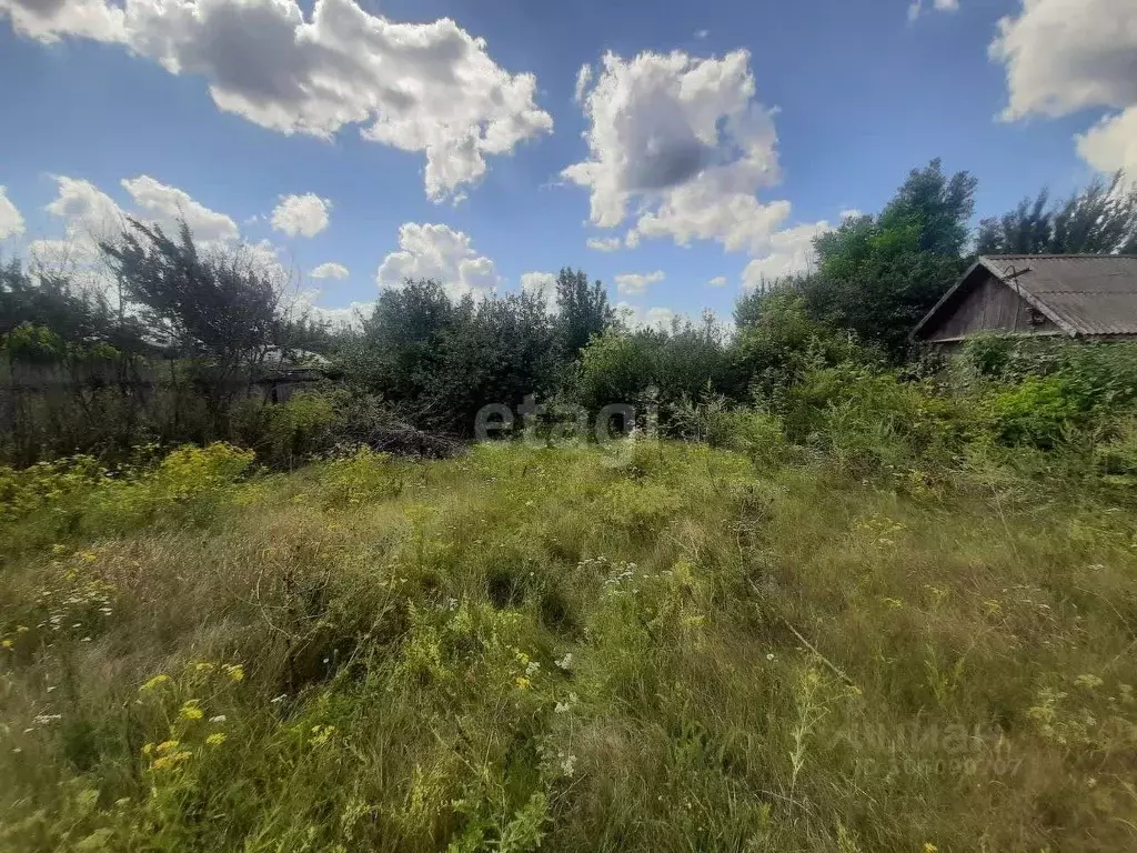 Участок в Белгородская область, Волоконовка рп, Колхоз мкр  (14.0 ... - Фото 1