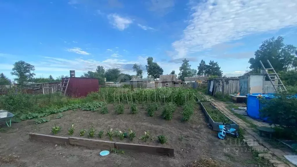 Дом в Амурская область, Ивановский муниципальный округ, с. Среднебелая ... - Фото 1