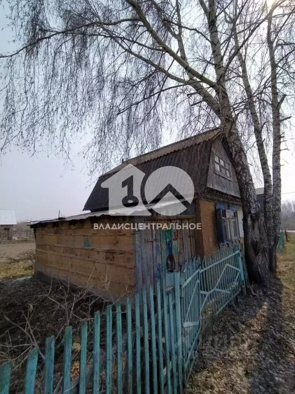 Участок в Новосибирская область, Искитим Зеленый Бор садовое ... - Фото 0