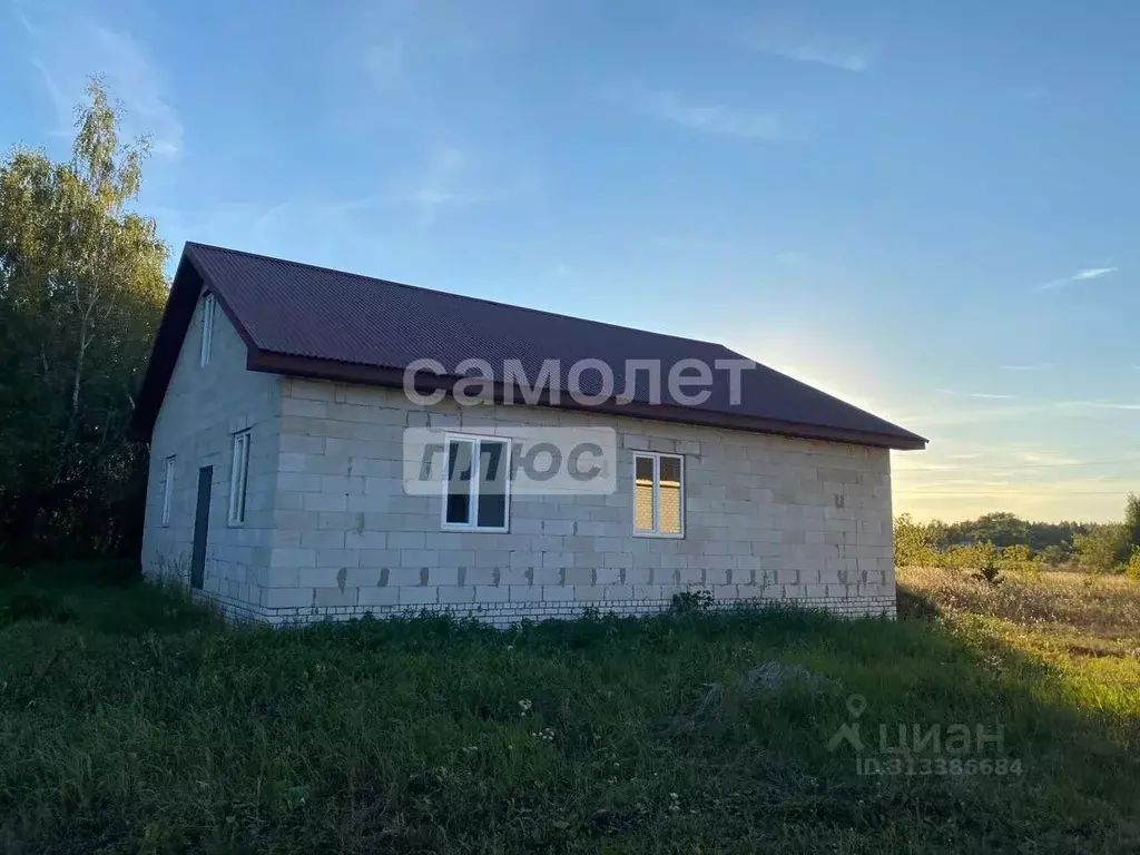 Дом в Липецкая область, Добровский муниципальный округ, с. Большой ... - Фото 1