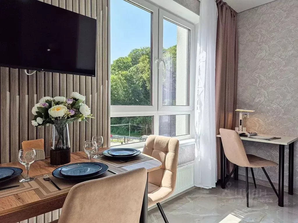 Студия Краснодарский край, Сочи ул. Искры, 88к10 (28.0 м) - Фото 2