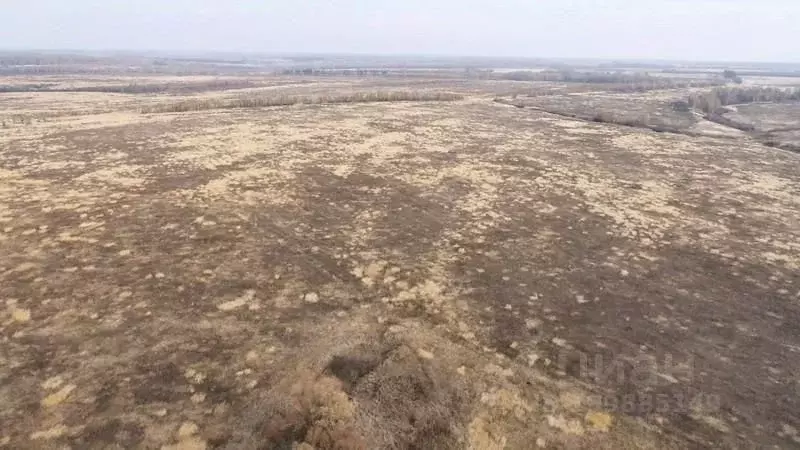 Участок в Тульская область, Заокский район, Демидовское муниципальное ... - Фото 0