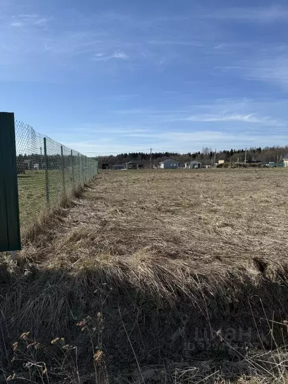 Участок в Ленинградская область, Ломоносовский район, Лопухинское ... - Фото 1