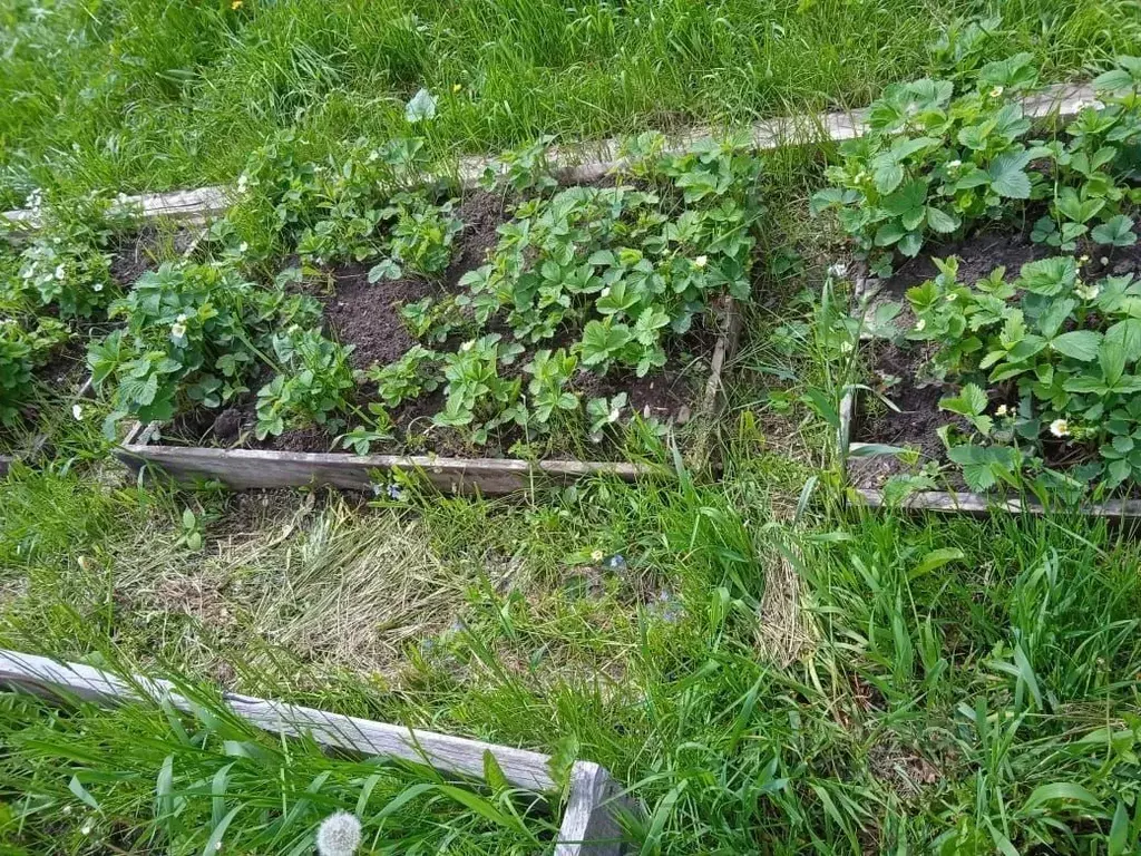 Дом в Кемеровская область, Мысковский городской округ, пос. Чувашка ... - Фото 0