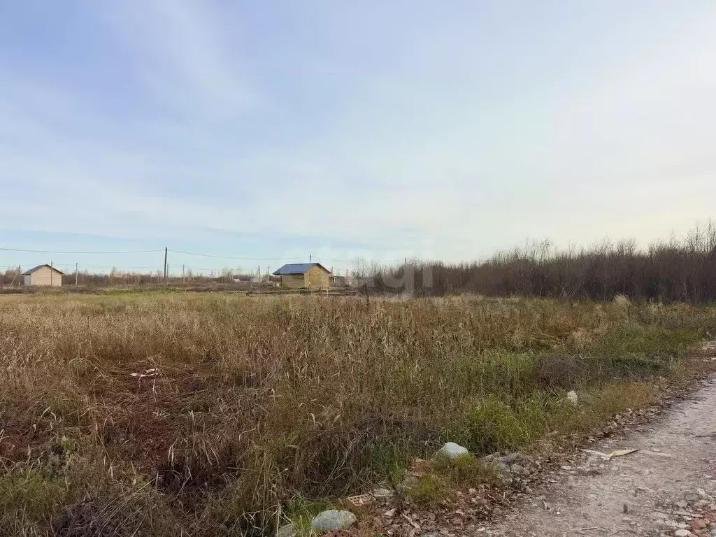 Участок в Тюменская область, Тюмень Большое Царево-1 СНТ, ул. Садовая ... - Фото 1