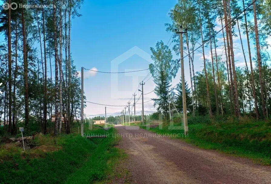 Участок в Сосновское сельское поселение, коттеджный посёлок Сосновские ... - Фото 2