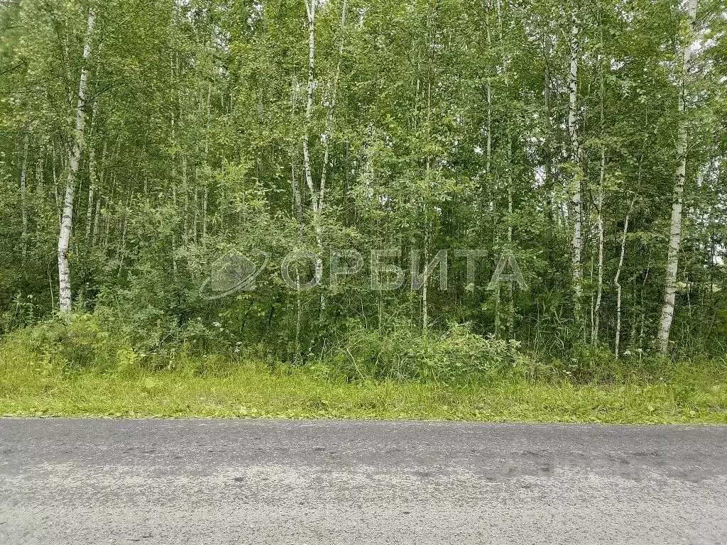 Участок в Тюменская область, Нижнетавдинский район, Сундукульский ... - Фото 1