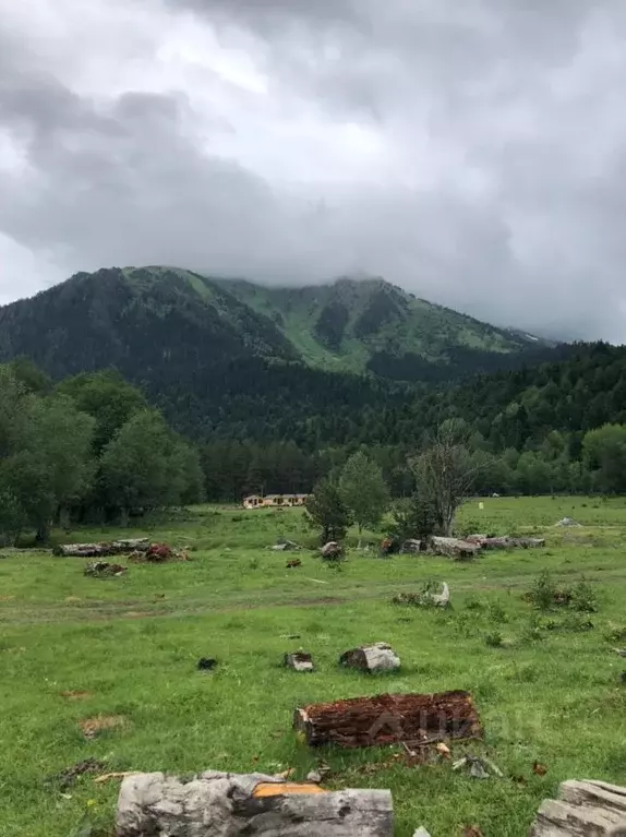 Участок в Карачаево-Черкесия, Зеленчукский район, с. Архыз  (25.0 ... - Фото 1