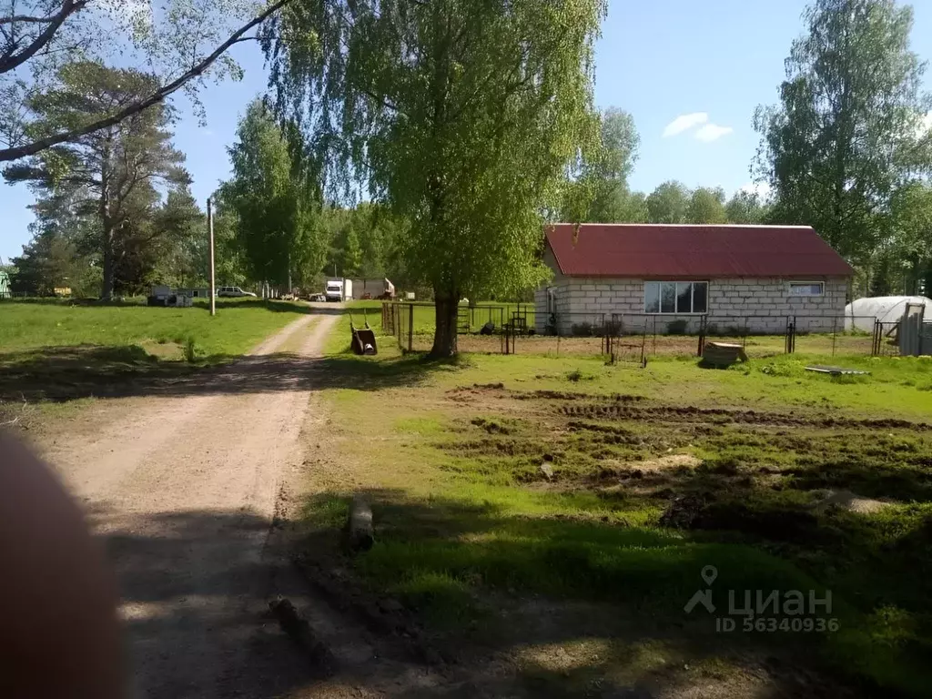 Участок в Ленинградская область, Всеволожский район, Куйвозовское ... - Фото 0