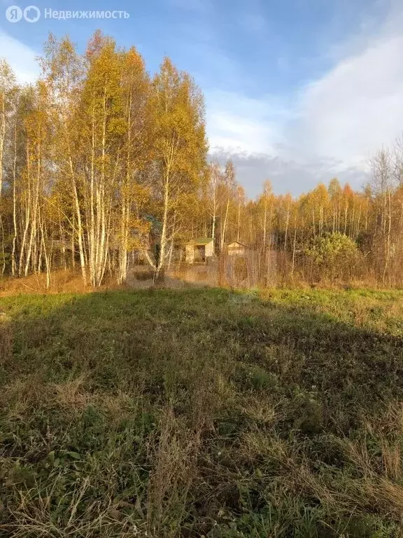 Участок в Курганская область, Кетовский муниципальный округ, деревня ... - Фото 1