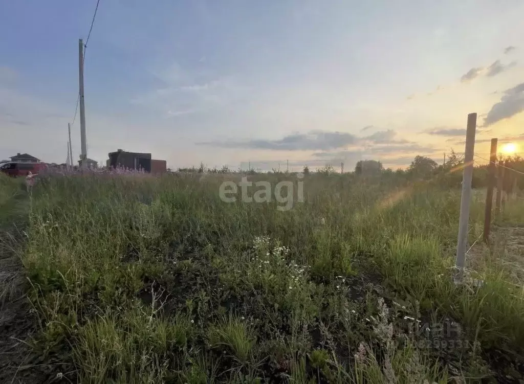 Участок в Мордовия, Саранск городской округ, Николаевка рп  (14.89 ... - Фото 0