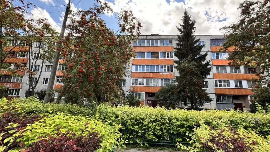 2-к кв. Московская область, Пушкинский городской округ, пос. Лесные ... - Фото 1