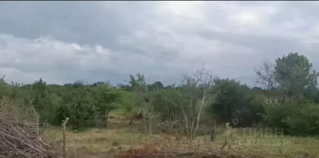 Участок в Ставропольский край, Ставрополь ул. Абрикосовая (4.5 сот.) - Фото 2