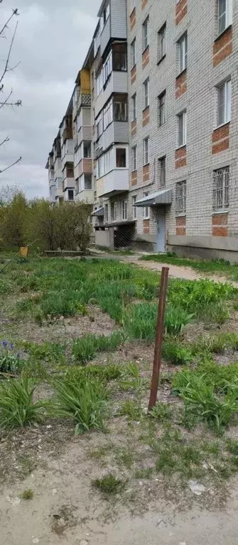 2-к кв. Владимирская область, Петушинский район, пос. Вольгинский ул. ... - Фото 1
