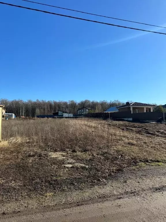 Участок в Московская область, Раменский муниципальный округ, Березовый ... - Фото 2