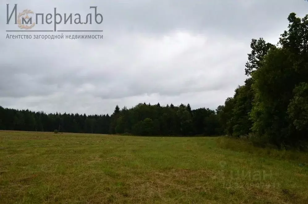 Участок в Калужская область, Малоярославецкий муниципальный округ  ... - Фото 1