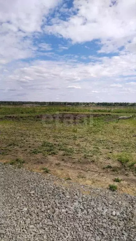 Участок в Ростовская область, Аксайский район, Ленина хут. ул. ... - Фото 0