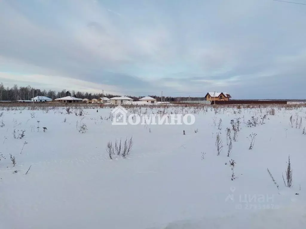 Участок в Тюменская область, Тюменский район, с. Перевалово  (9.1 ... - Фото 1