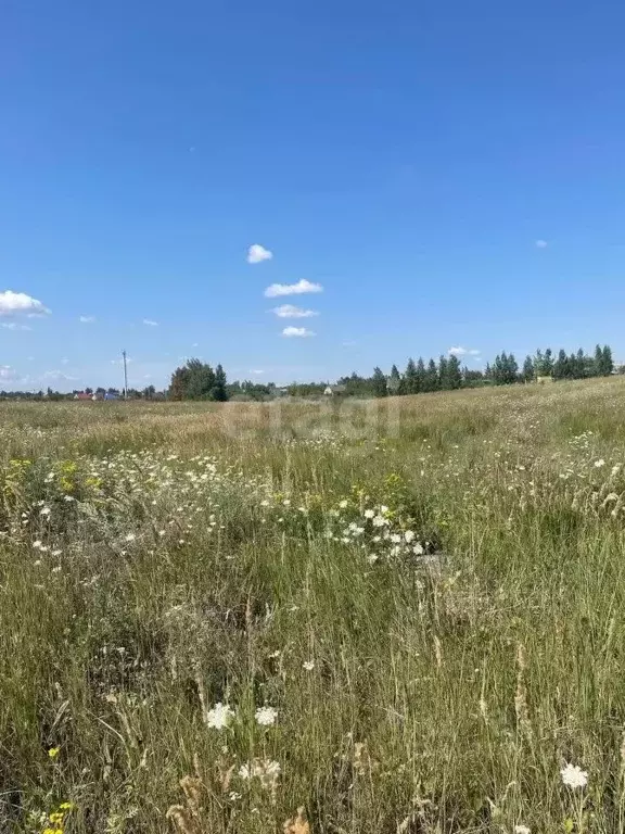 Участок в Липецкая область, Липецкий муниципальный округ, с. Сенцово ... - Фото 0