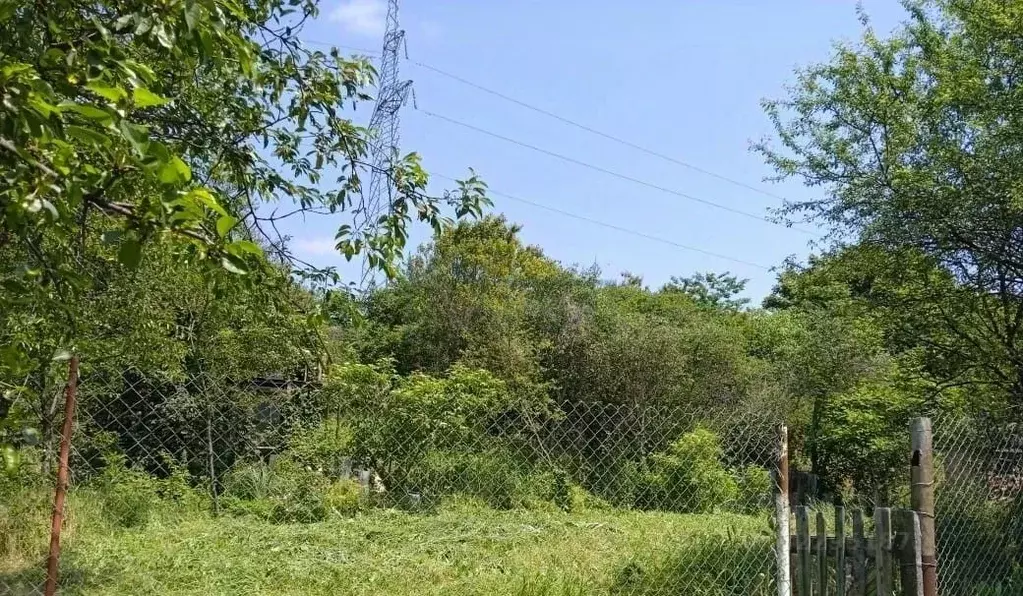 Участок в Ростовская область, Мясниковский район, Недвиговское с/пос, ... - Фото 1