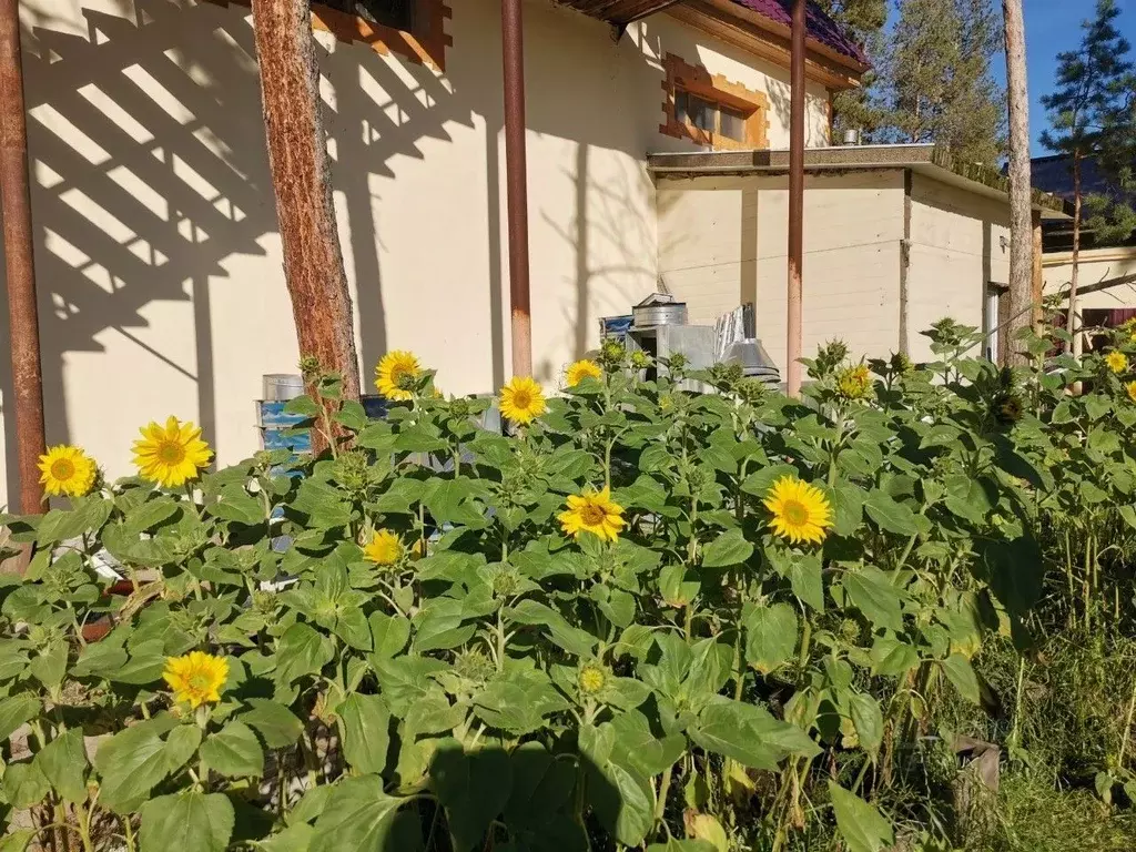 Дом в Саха (Якутия), Жатай городской округ, Жатай рп ул. Полярная (150 ... - Фото 1
