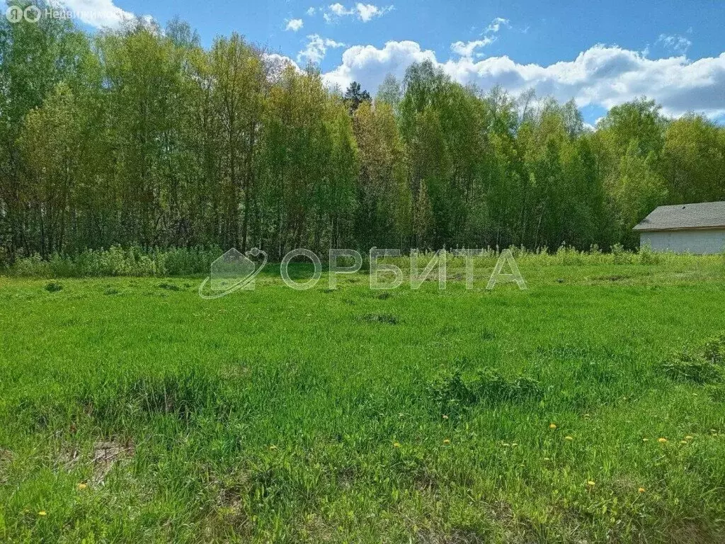 Участок в Тюменский район, село Кулига (11.8 м) - Фото 0