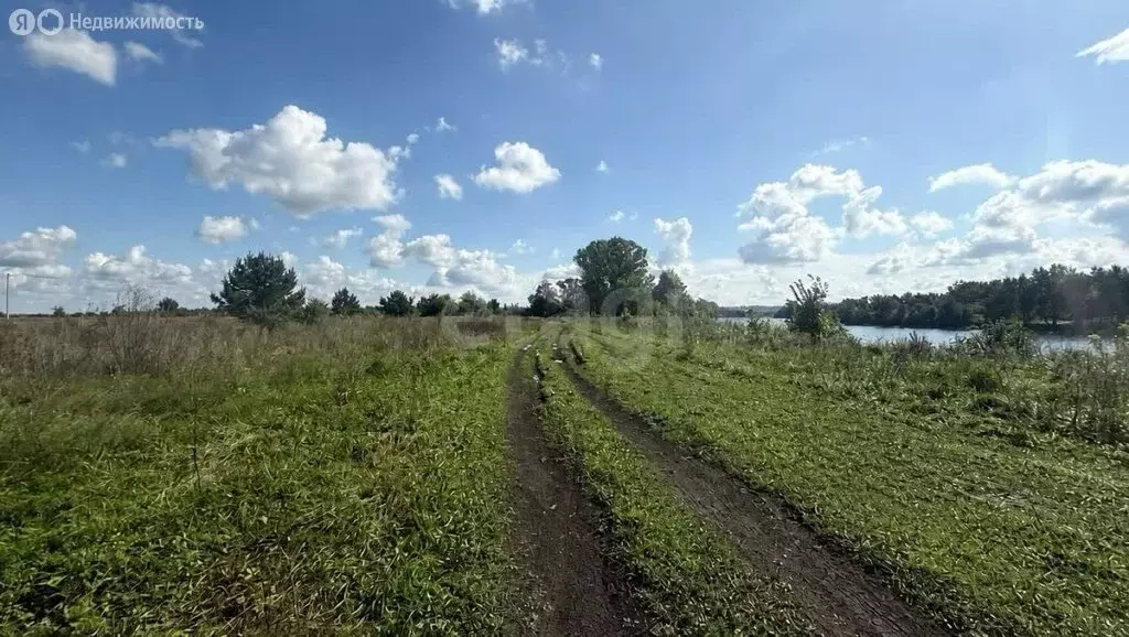 Участок в Бирский район, село Кусекеево (13.1 м) - Фото 2