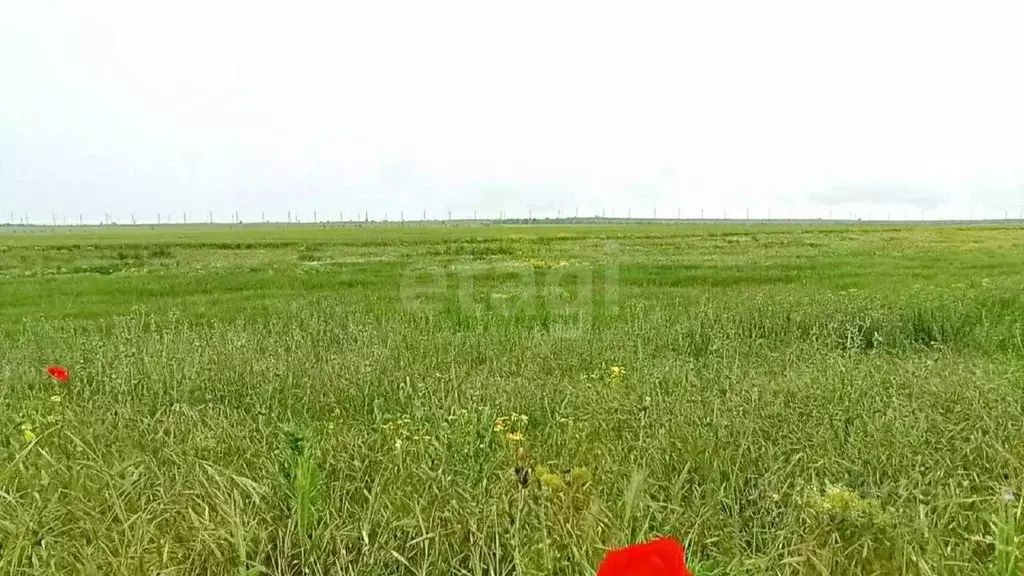 Участок в Крым, Феодосия муниципальный округ, Приморский пгт ул. ... - Фото 1