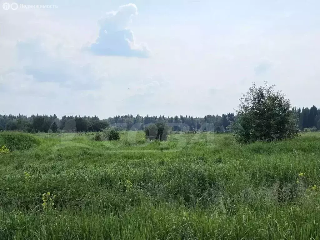 Участок в Свердловская область, Тугулымский муниципальный округ, ... - Фото 1