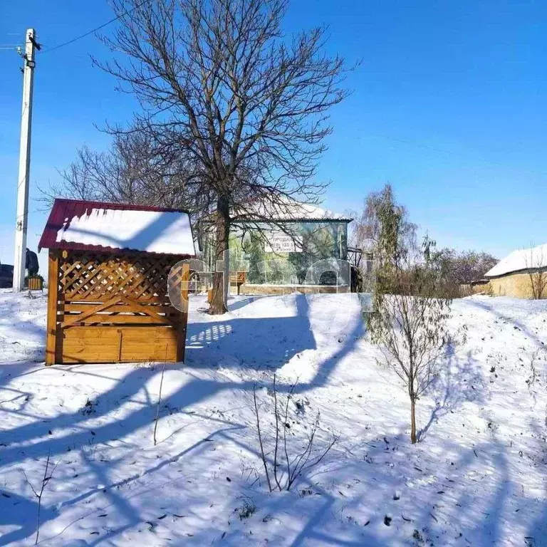 Дом в Воронежская область, Репьевский район, Краснолипьевское с/пос, ... - Фото 1