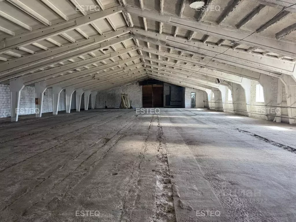 Склад в Новосибирская область, Новосибирский район, с. Толмачево ... - Фото 0