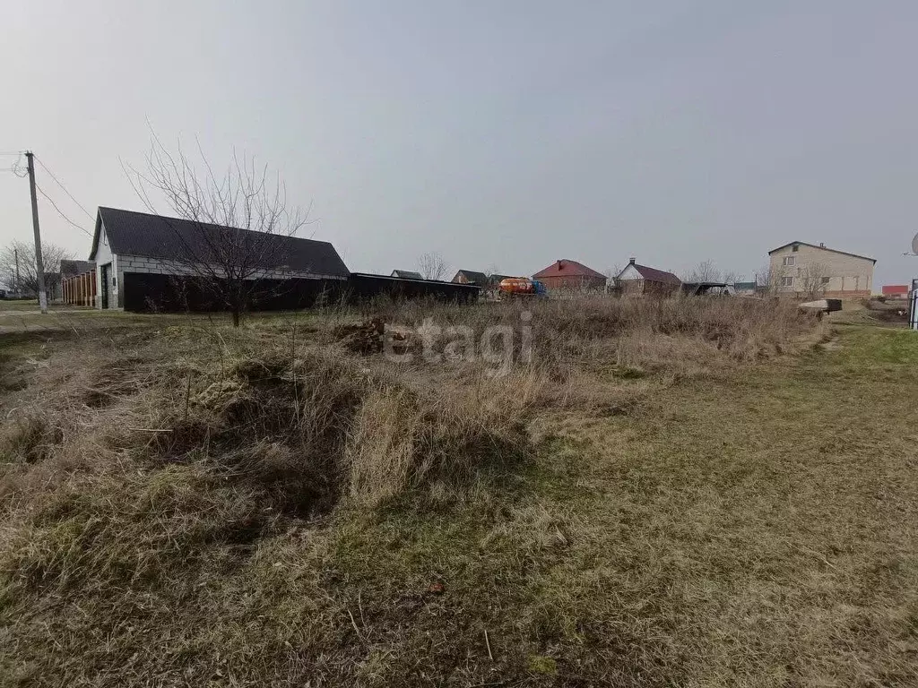 Участок в Белгородская область, Вейделевка рп ул. Зеленая, 5 (15.09 ... - Фото 2