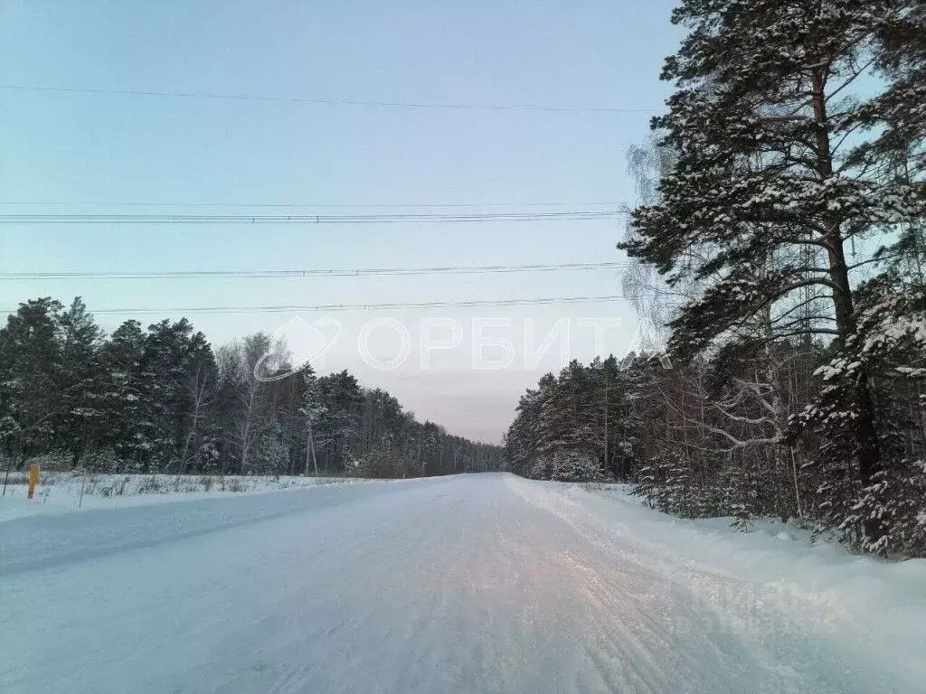 Участок в Тюменская область, Тюменский район, с. Кулига Заречная ул. ... - Фото 1