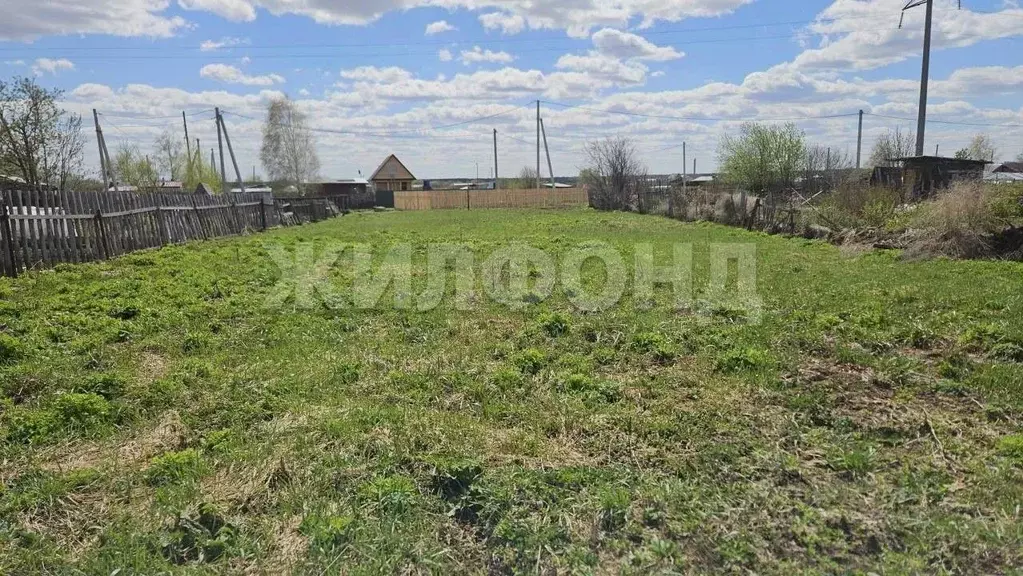 Участок в Новосибирская область, Новосибирский район, с. Криводановка ... - Фото 1