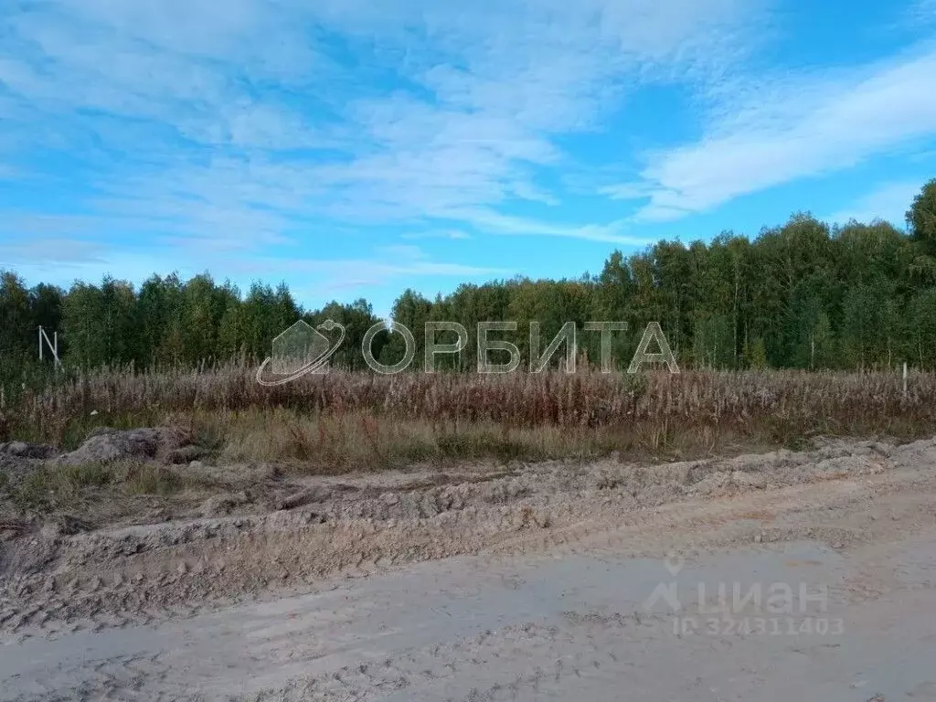 Участок в Тюменская область, Тюменский муниципальный округ, д. ... - Фото 2
