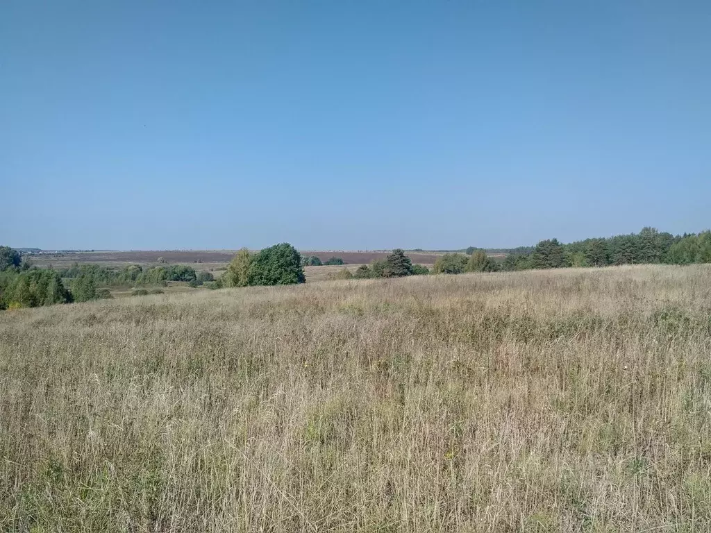 Участок в Владимирская область, Владимир ул. Немцово Поле, 32 (11.21 ... - Фото 1