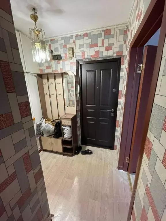 1-к кв. Курганская область, Курган ул. Радионова, 50 (30.0 м) - Фото 1