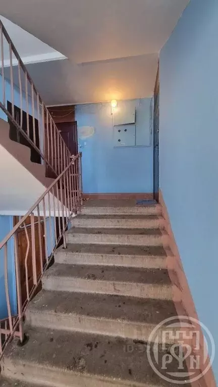 2-к кв. Ленинградская область, Сертолово Всеволожский район, Черная ... - Фото 2