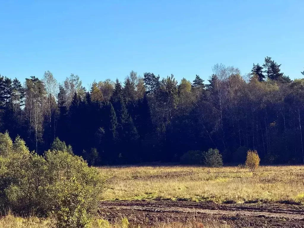Участок в Московская область, Дмитровский муниципальный округ, Ерыково ... - Фото 1
