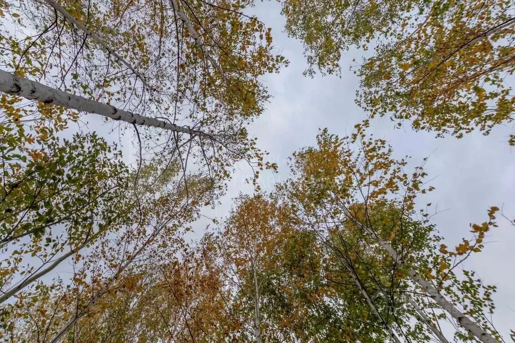 Участок в Тюменская область, Тюмень ул. Семена Урусова (15.0 сот.) - Фото 0